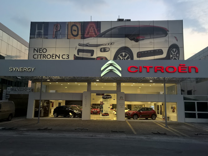 CITROËN Synergy