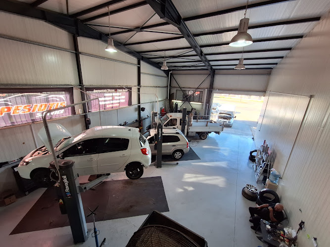 LEPESIOTIS SERVICE