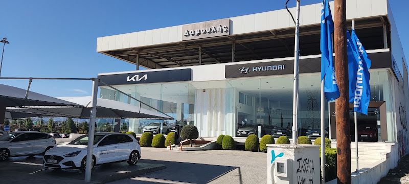 ΔΑΜΟΥΛΗΣ, Φ., Α.Ε. HYUNDAI KIA