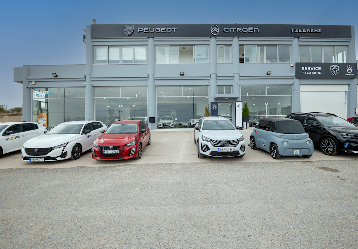 CITROËN Δ Τζεδάκης ΑΕΕ
