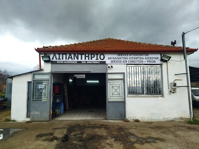 Oil station & car service