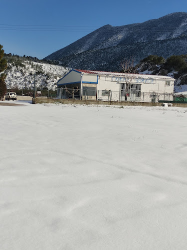 ΣΥΝΕΡΓΕΙΙΟ ΑΥΤΟΚΙΝΗΤΩΝ ΓΚΙΚΑΣ