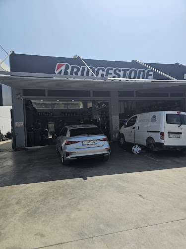 Paradisis Tires