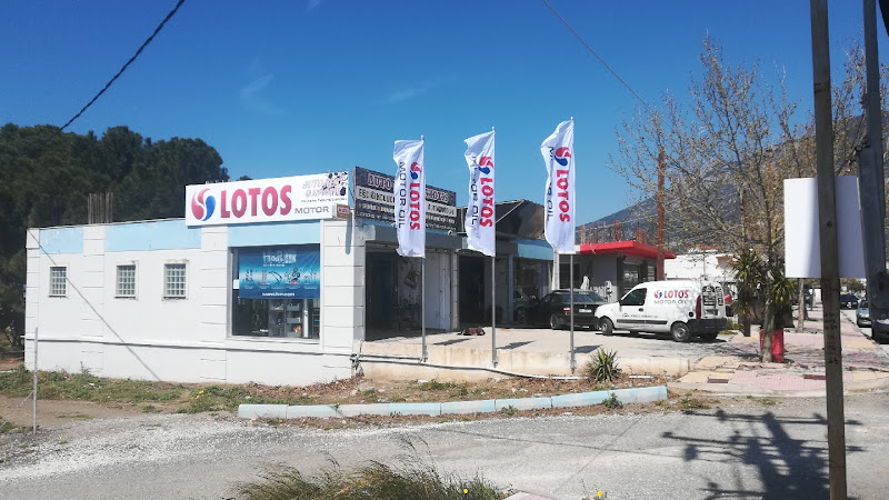 Auto Nest Gaviotis
