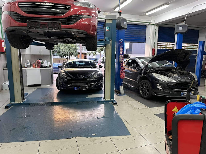 Action Dellaportas | Συνεργειο Peugeot Citroen DS Renault Dacia