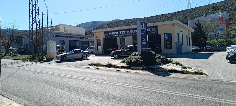 ΤΣΕΛΙΚΟΥ, ΑΦΟΙ, Ο.Ε.