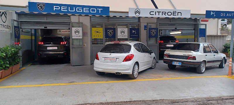 PEUGEOT - CITROEN - DS AUTOMOBILES - OPEL | Georgatos Service