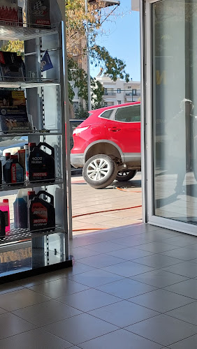 ΤΕΡΖΕΝΙΔΗΣ ΧΡΗΣΤΟΣ