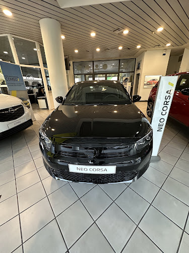 OPEL Best car