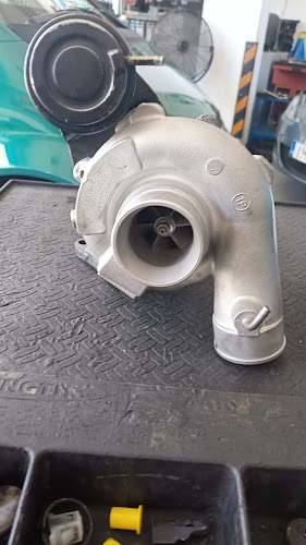 Exelixis Turbo Service