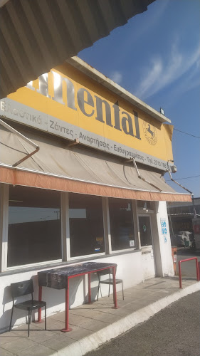 Tsitsiklis Tyres