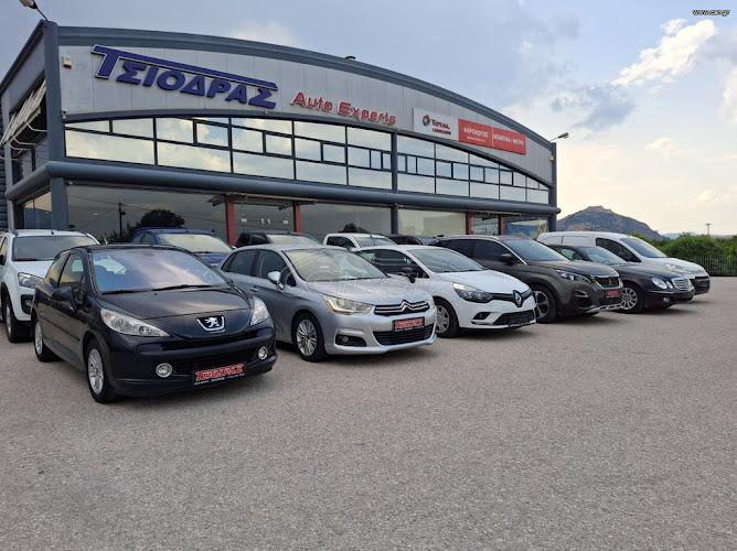 ΤΣΙΟΔΡΑΣ ΠΑΝΑΓΙΩΤΗΣ - AUTOEXPERTS