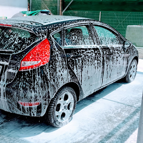 CAR WASH MAFIA