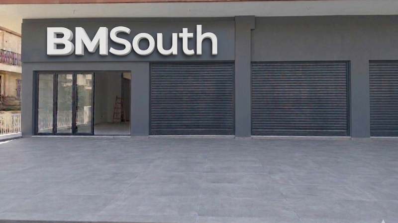 BMSouth - BMW & Mini Service
