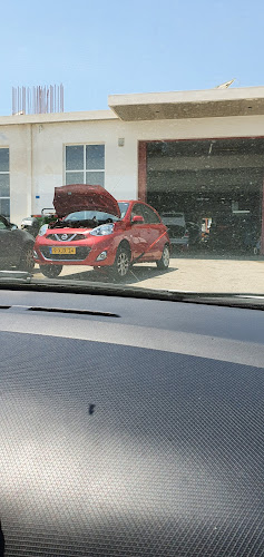 Ηλεκτρολογείο αυτοκινήτων Σκάγκος Κωνσταντίνος