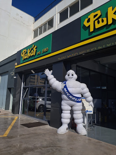 Fokas Tires