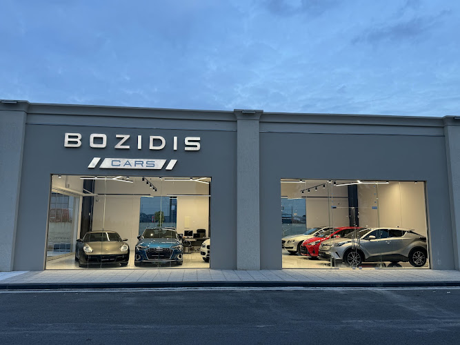 BOZIDIS CARS