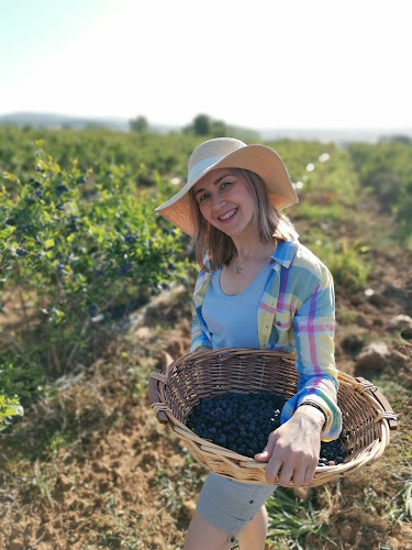 GReat blueberries / Φρέσκα Ελληνικά μύρτιλα
